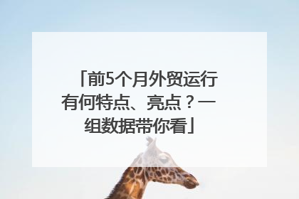 前5个月外贸运行有何特点、亮点？一组数据带你看