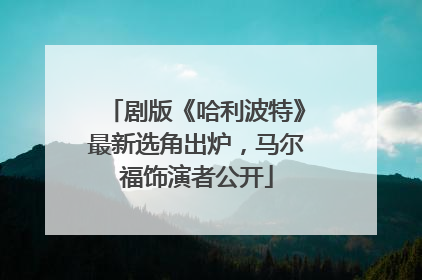 剧版《哈利波特》最新选角出炉，马尔福饰演者公开