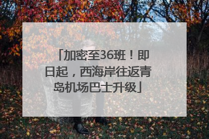 加密至36班！即日起，西海岸往返青岛机场巴士升级