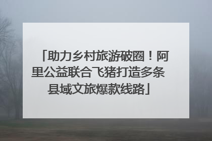 助力乡村旅游破圈！阿里公益联合飞猪打造多条县域文旅爆款线路