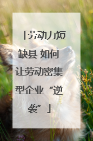 劳动力短缺县 如何让劳动密集型企业“逆袭”