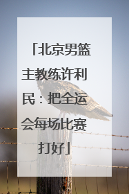 北京男篮主教练许利民：把全运会每场比赛打好
