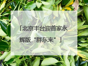 北京丰台迎首家永辉版“胖东来”