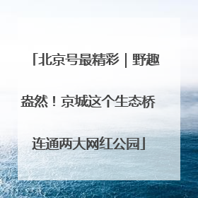 北京号最精彩｜野趣盎然！京城这个生态桥连通两大网红公园
