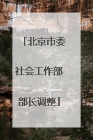 北京市委社会工作部部长调整
