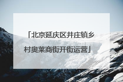 北京延庆区井庄镇乡村奥莱商街开街运营
