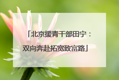 北京援青干部田宁：双向奔赴拓宽致富路