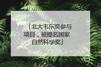 北大韦东奕参与项目，被提名国家自然科学奖