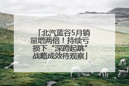 北汽蓝谷5月销量增两倍！持续亏损下“深蹲起跳”战略成效待观察