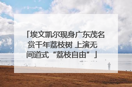 埃文凯尔现身广东茂名 赏千年荔枝树 上演无间道式“荔枝自由”