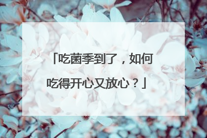 吃菌季到了，如何吃得开心又放心？