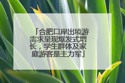 合肥口岸出境游需求呈现爆发式增长，学生群体及家庭游客是主力军