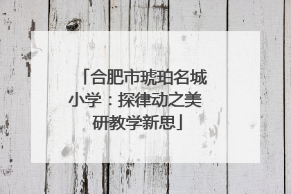 合肥市琥珀名城小学：探律动之美 研教学新思