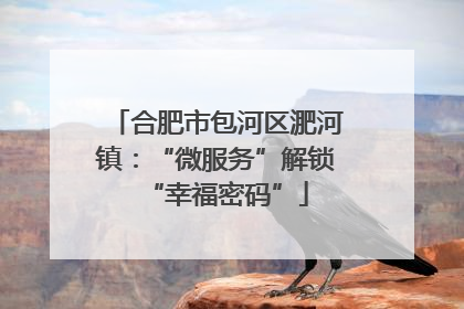 合肥市包河区淝河镇：“微服务”解锁“幸福密码”