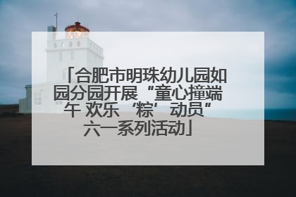 合肥市明珠幼儿园如园分园开展“童心撞端午 欢乐‘粽’动员”六一系列活动