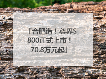 合肥造！尊界S800正式上市！70.8万元起
