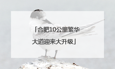 合肥10公里繁华大道迎来大升级