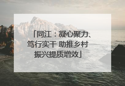 同江：凝心聚力、笃行实干 助推乡村振兴提质增效