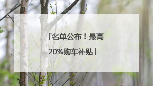 名单公布！最高20%购车补贴