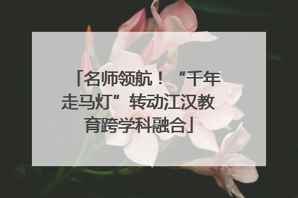 名师领航！“千年走马灯”转动江汉教育跨学科融合