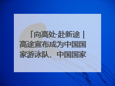 向高处·赴新途｜高途宣布成为中国国家游泳队、中国国家花样游泳队官方学习合作伙伴