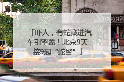 吓人，有蛇藏进汽车引擎盖！北京9天接9起“蛇警”