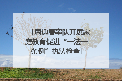 周迎春率队开展家庭教育促进“一法一条例”执法检查