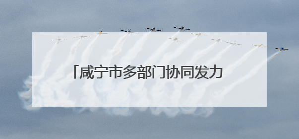 咸宁市多部门协同发力 精准服务企业落地生根