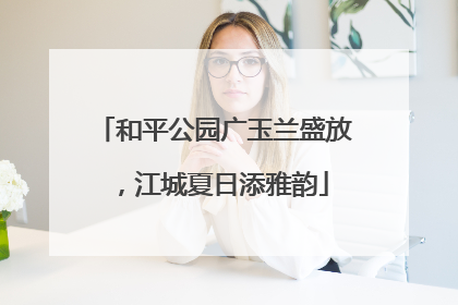 和平公园广玉兰盛放，江城夏日添雅韵
