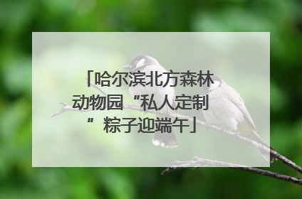 哈尔滨北方森林动物园“私人定制”粽子迎端午