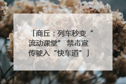 商丘：列车秒变“流动课堂” 禁毒宣传驶入“快车道”