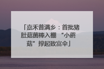 嘉禾普满乡：首批猪肚菇菌棒入棚 “小蘑菇”撑起致富伞