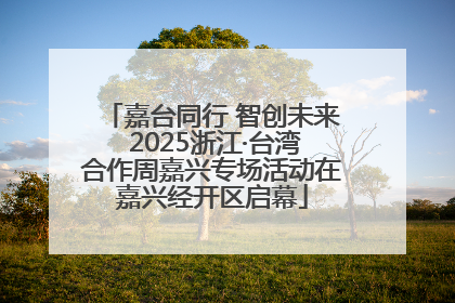 嘉台同行 智创未来 2025浙江·台湾合作周嘉兴专场活动在嘉兴经开区启幕