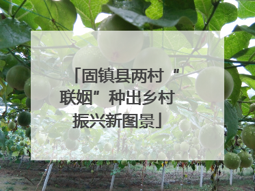 固镇县两村“联姻”种出乡村振兴新图景