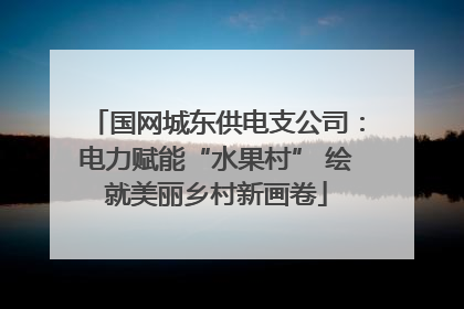 国网城东供电支公司：电力赋能“水果村” 绘就美丽乡村新画卷