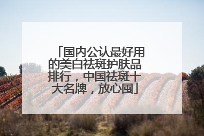 国内公认最好用的美白祛斑护肤品排行，中国祛斑十大名牌，放心囤