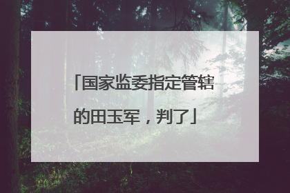 国家监委指定管辖的田玉军，判了