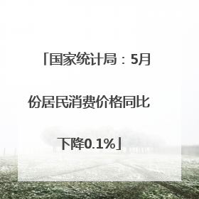 国家统计局：5月份居民消费价格同比下降0.1%