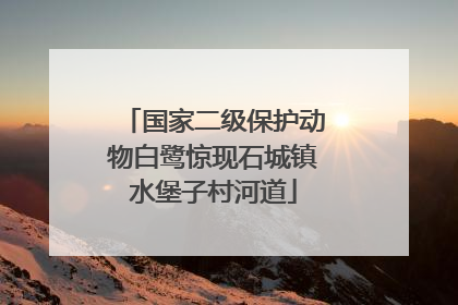 国家二级保护动物白鹭惊现石城镇水堡子村河道