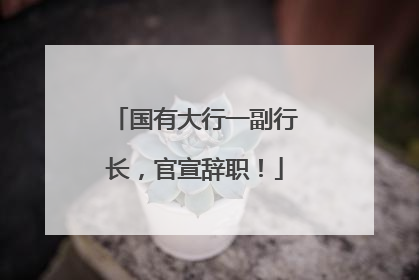 国有大行一副行长，官宣辞职！