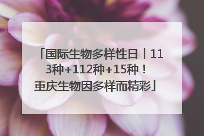 国际生物多样性日丨113种+112种+15种！重庆生物因多样而精彩