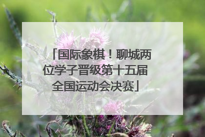国际象棋！聊城两位学子晋级第十五届全国运动会决赛
