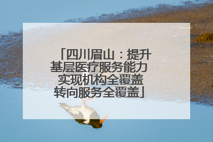 四川眉山：提升基层医疗服务能力 实现机构全覆盖转向服务全覆盖