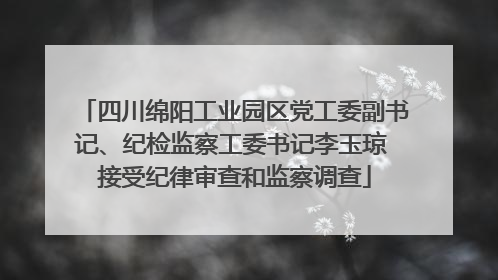 四川绵阳工业园区党工委副书记、纪检监察工委书记李玉琼 接受纪律审查和监察调查