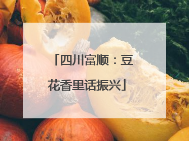 四川富顺：豆花香里话振兴