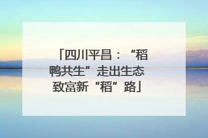 四川平昌：“稻鸭共生”走出生态致富新“稻”路