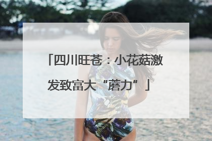 四川旺苍：小花菇激发致富大“蘑力”