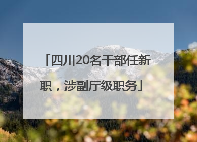 四川20名干部任新职，涉副厅级职务