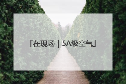 在现场｜5A级空气