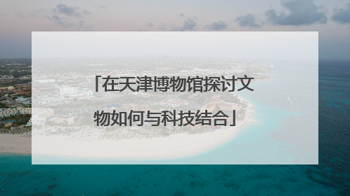 在天津博物馆探讨文物如何与科技结合